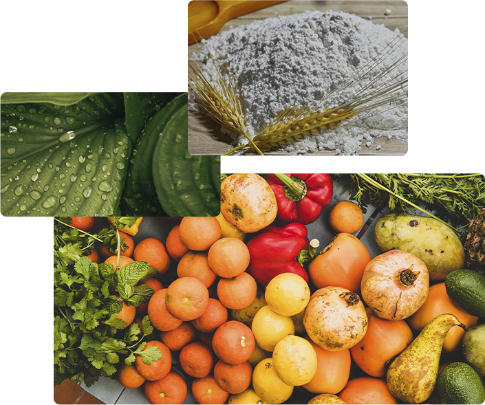 Fotografia de folha com gotas de água. | Fotografia de farinha e duas folhas de trigo. | Fotografia de frutas e verduras em cima de uma mesa.