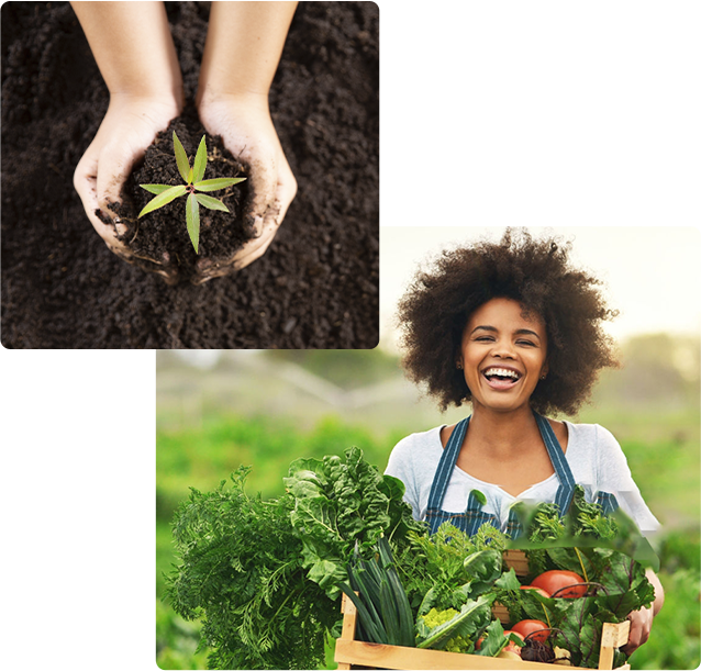 Fotografia de mãos segurando terra e uma muda de planta. | Fotografia de uma jovem segurando uma caixa com verduras.