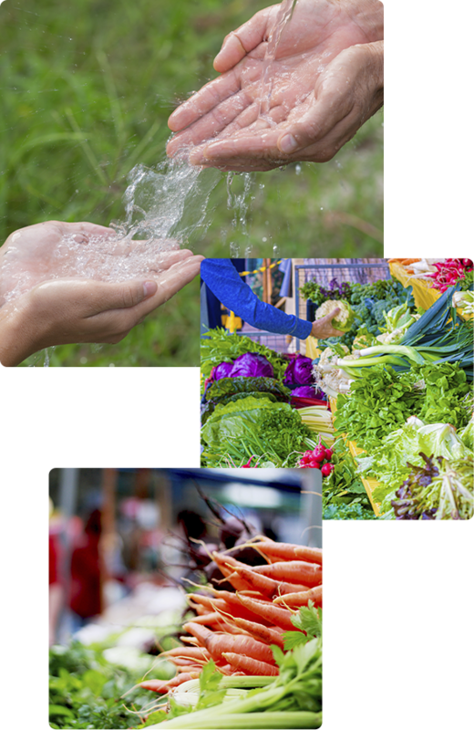 Fotografia de duas mãos e água escorrendo | Fotografia de verduras em uma feira e uma pessoa escolhendo. | Fotografia de verduras. 